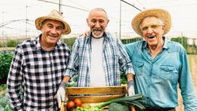 Поздравляем с Днём народного единства!